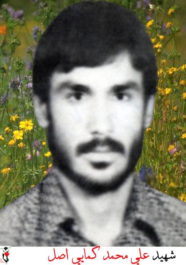 فاقد تصویر